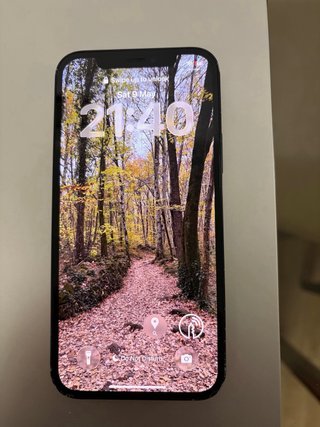 iPhone 12 Negro