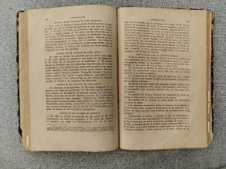 Libro antiguo Gramática Hispano-Latina. 1890
