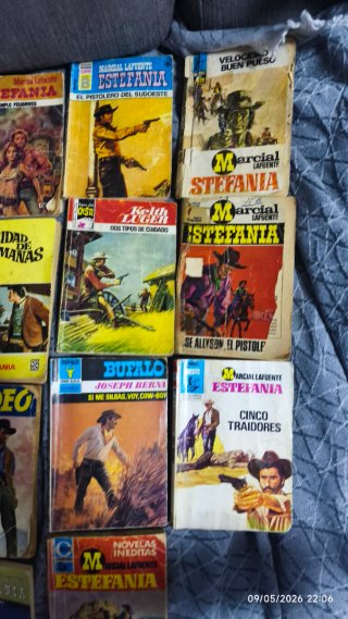 Lote de 20 Novelas del Oeste