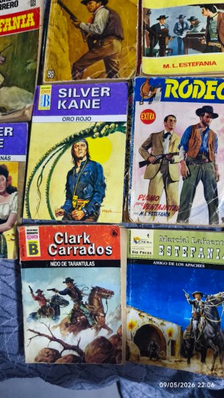 Lote de 20 Novelas del Oeste