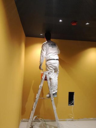 Servicios de pintura profesional