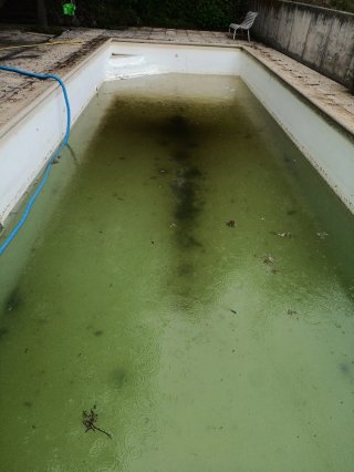 Servizio di manutenzione piscine