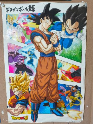 Póster Dragon Ball Super
