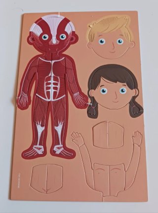 Juego de Imanes Cuerpo Humano Apli Kids