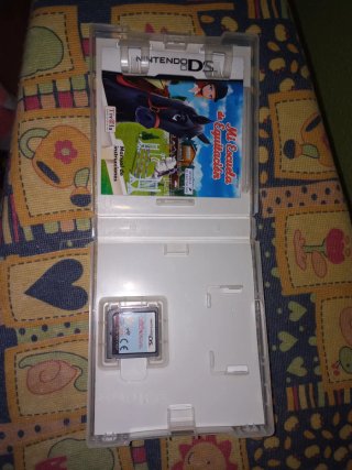 Mi Escuela de Equitación Nintendo DS