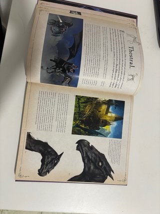 Libro harry potter