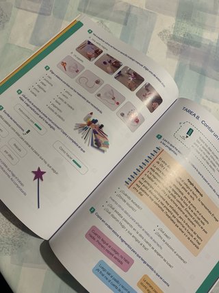 Lengua +, 4 Primaria, Tareas y destrezas