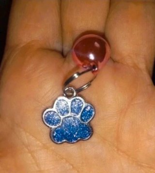 Collares para mascotas, varios diseños
