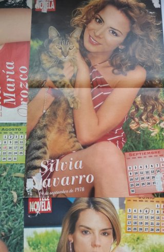 Pósters Telenovelas Actores
