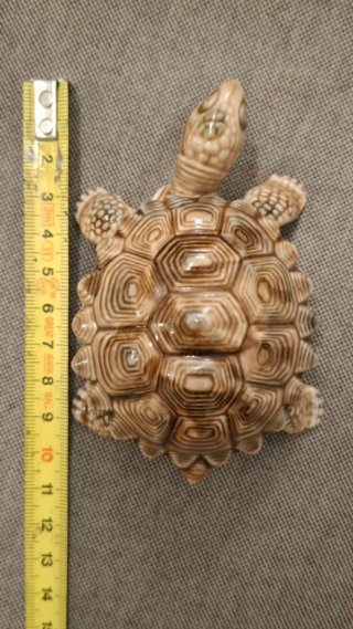 Cajita Wade Tortuga Porcelana Inglesa