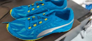 Zapatillas de Cross con clavos  campo a través