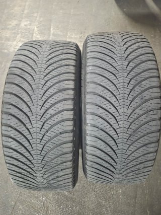 Neumáticos 225/55 R17: 2 Goodyear + 2 Hankook