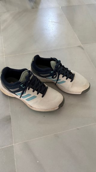 Zapatilla Adidas Golf Talla 37.5