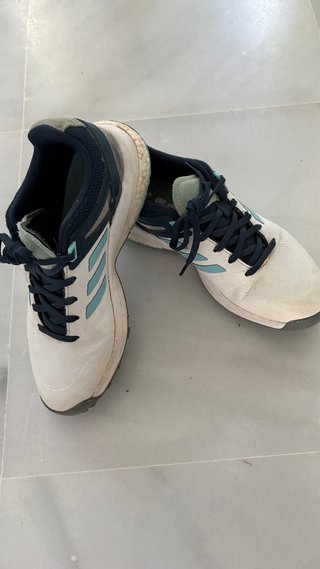Zapatilla Adidas Golf Talla 37.5
