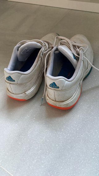 Zapatilla Adidas Golf Talla 37.5