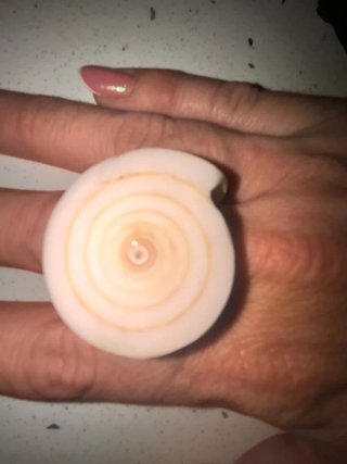 Diferentes collares a 5€ cada uno