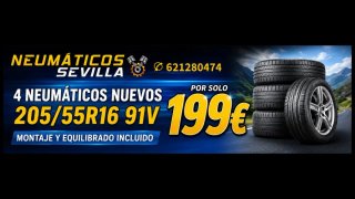 Oferton de 4 Neumáticos Nuevos 205/55R16 91V
