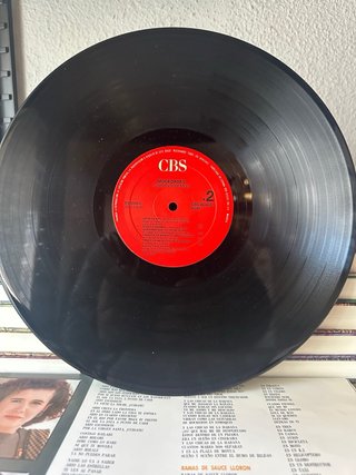 Vinilo Mocedades: Sobreviviremos 1987
