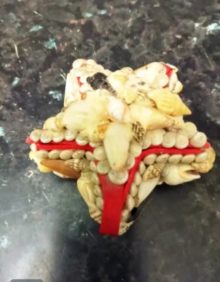 Joyero Estrella Conchas