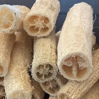 50 Semi Luffa Cylindrica - Spugna Naturale