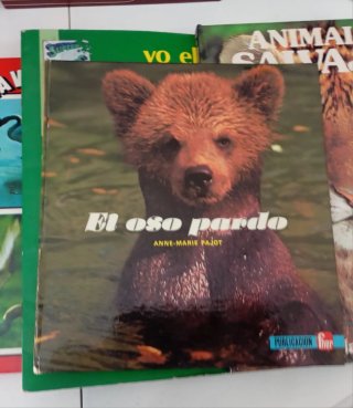 Lote Libros vintage infantil años 80