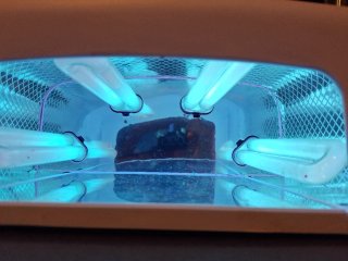 Lámpara UV para uñas