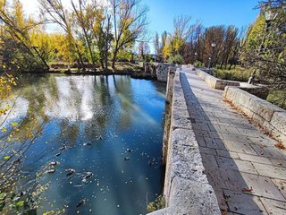 Piso en venta en San Pablo y Santa Marina en Palencia