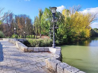 Piso en venta en San Pablo y Santa Marina en Palencia