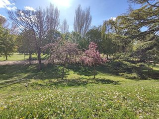 Piso en venta en San Pablo y Santa Marina en Palencia
