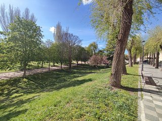 Piso en venta en San Pablo y Santa Marina en Palencia