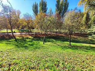 Piso en venta en San Pablo y Santa Marina en Palencia