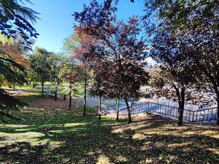Piso en venta en San Pablo y Santa Marina en Palencia