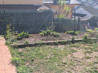 Jardinero