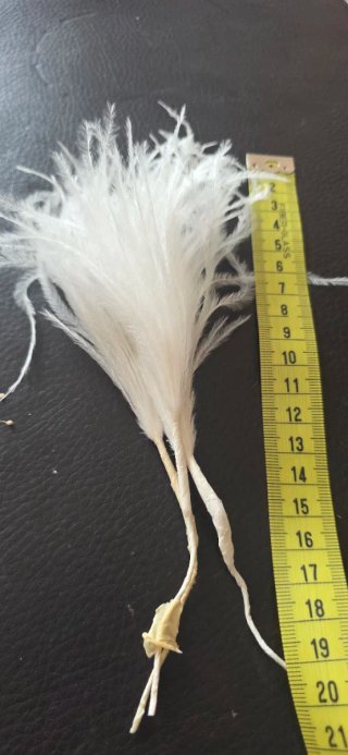Plumas decorativas para cabello