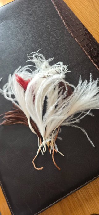 Plumas decorativas para cabello