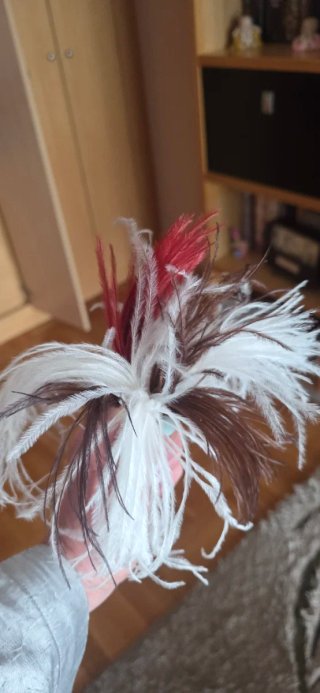 Plumas decorativas para cabello