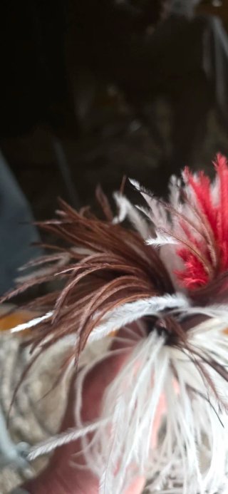 Plumas decorativas para cabello