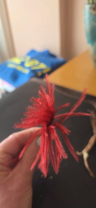 Plumas decorativas para cabello