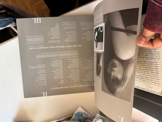 Vinilo Taylor Swift TTDP The Bolter Edition