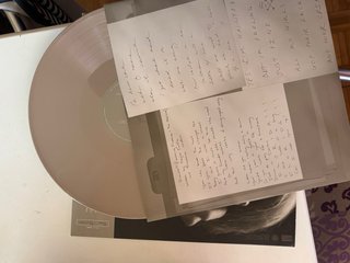 Vinilo Taylor Swift TTDP The Bolter Edition