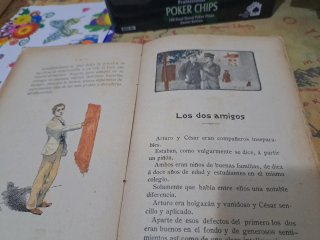 Libro Antiguo Rosas y Espigas
