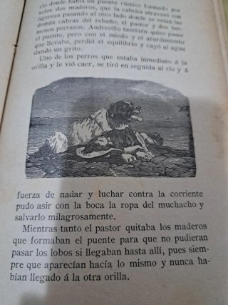 Libro Antiguo Rosas y Espigas