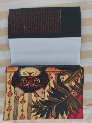 Soy un gato - Natsume Soseki (27a ed.)