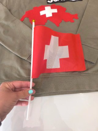 Sudadera infantil Suiza