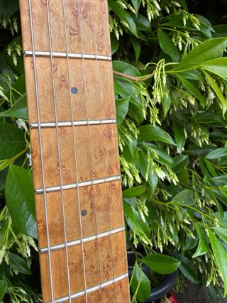 Axis Super Sport HH Tremolo Piezo