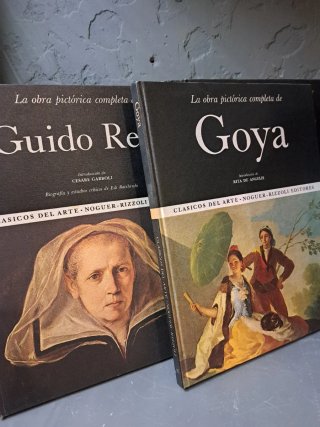 Colección libros arte