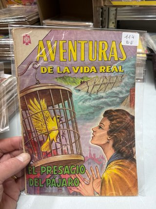 Lote 10 números Aventuras de la Vida Real grandes