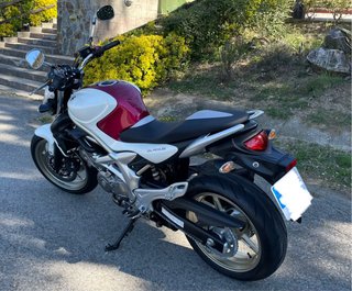 Suzuki Gladius 650 Naked Blanca/Burdeos