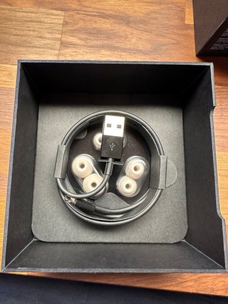 Powerbeats Pro Beige