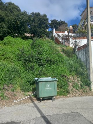 Limpieza parcelas y jardines